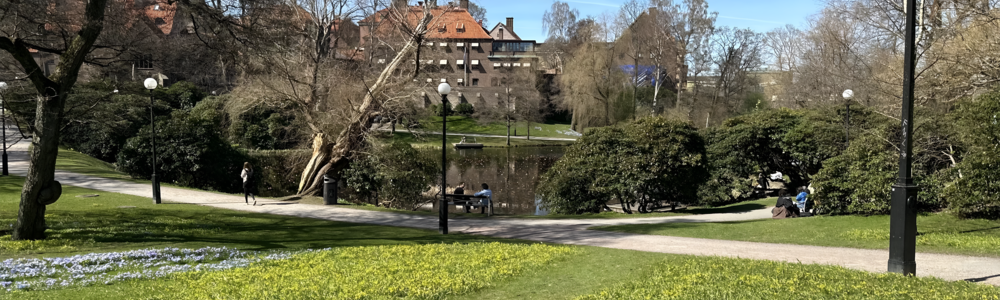 Students talking in the park next to Humanisten