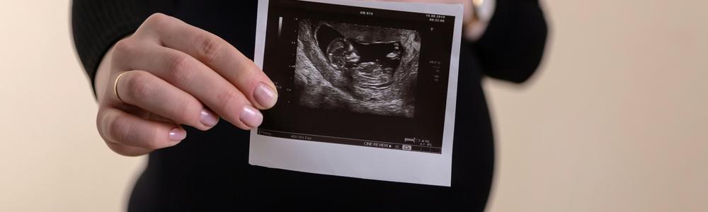 person visar en modell av ett kvinnligt underliv