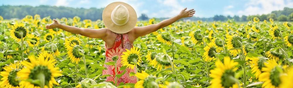 Kvinna står på ett fält med solrosor