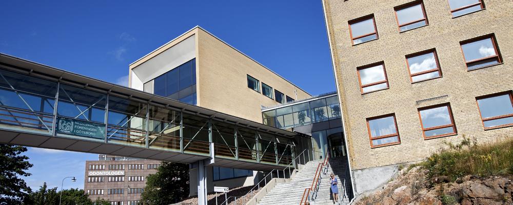 Bild på entrén till Medicinaregatan 3