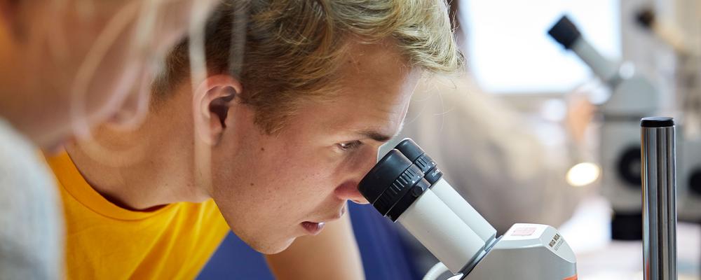 Manlig student kikar i mikroskop
