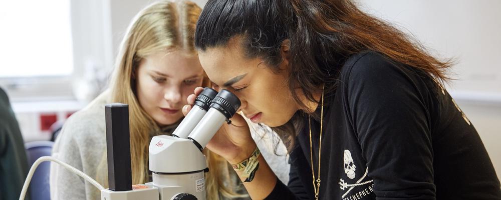 Students with microscope. 
