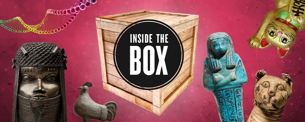 Logga för podden Inside the Box