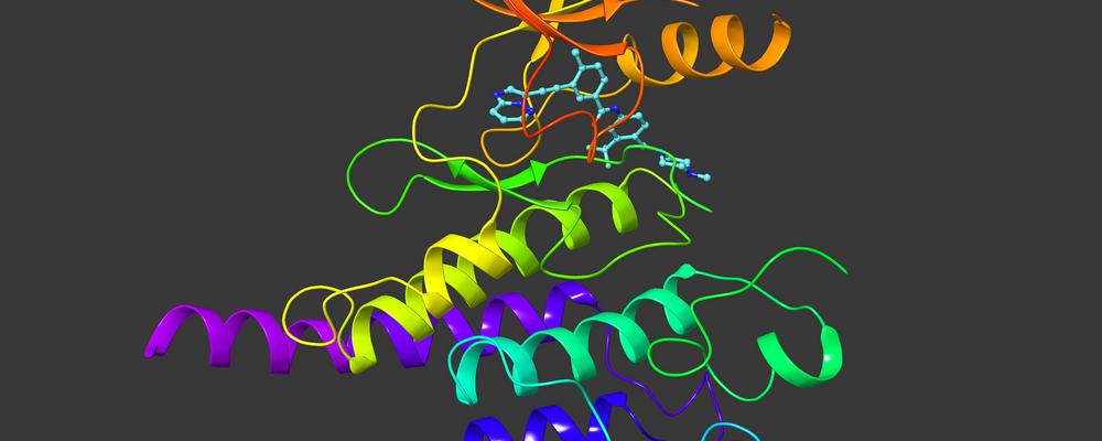 Bilden visar hur en kinashämmare binder till RET-kinaset.