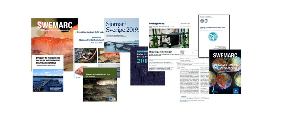 Flera populärvetenskapliga och vetenskapliga publikationer men också studentuppsatser och rapporter.