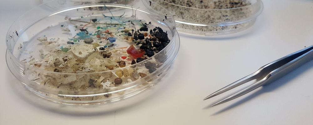 Mikroplast i skål