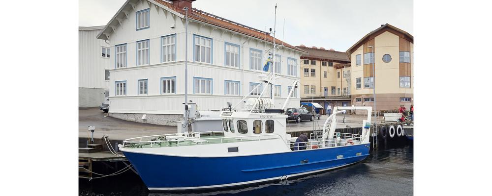Fartyget Oscar von Sydow vid kaj på Kristineberg