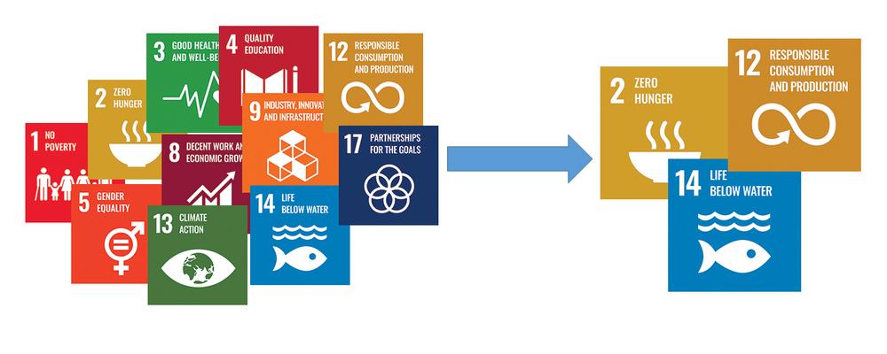 Bilder på FN:s hållbara mål med fokus på S D G 2, S D G 12, S D G 14, som relaterar till Swemarc.