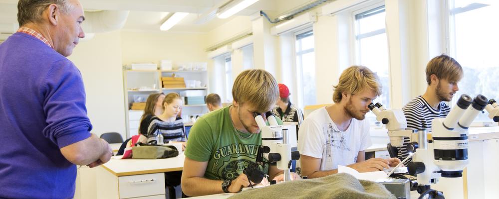 Tre studenter tittar i mikroskop under lärarens överseende