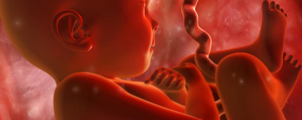Child in foetus