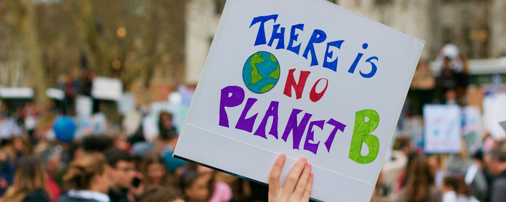 Demonstranter håller upp plakat med texten "there is no planet b"