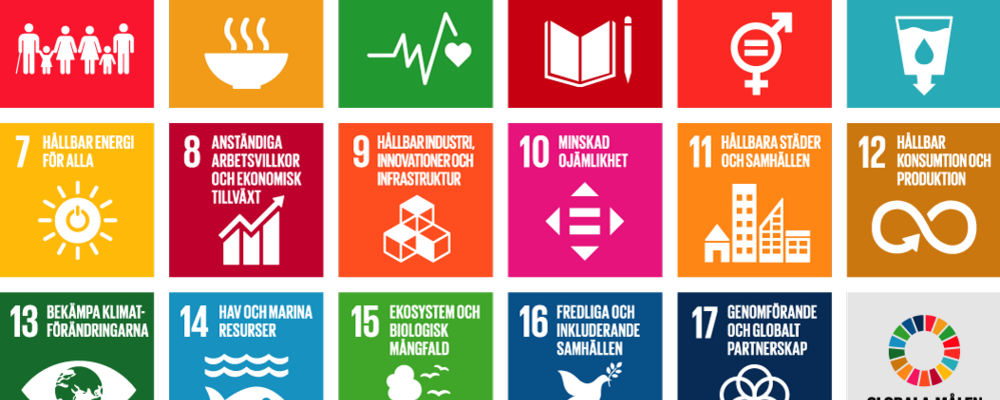 En enkätundersökning om SDG:er och vattenbruk