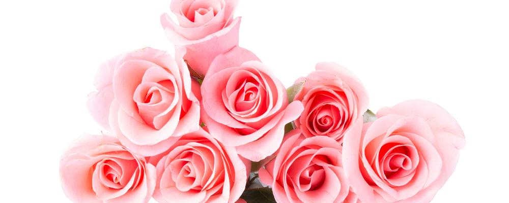 en bunt rosa rosor