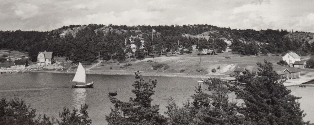 A bay with a summer hotel among pines