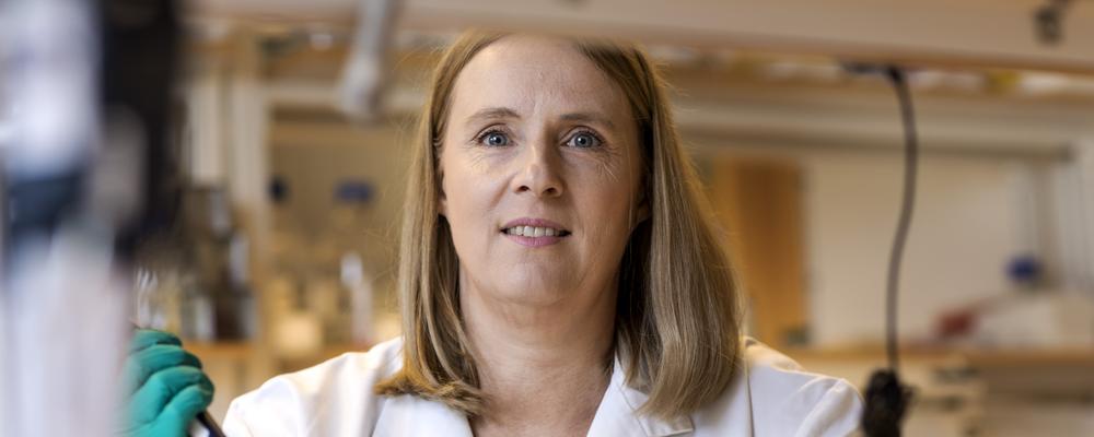 Maria Falkenberg, professor i biomedicinsk laboratorievetenskap.