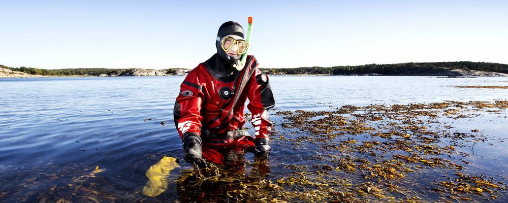 A scientist appears in the sea of ​​algae.