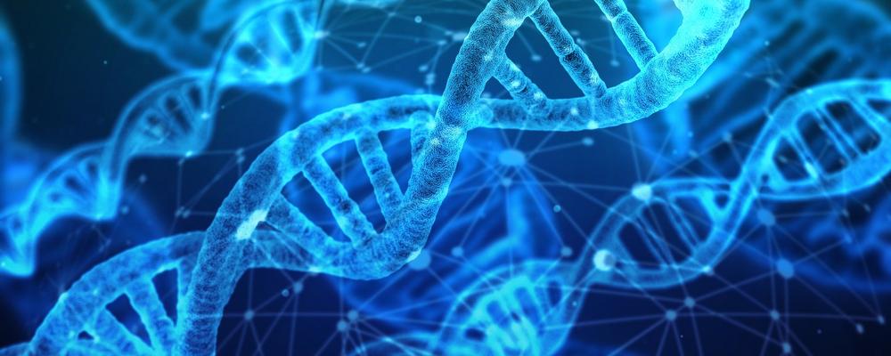 Hur använder man DNA i modern släktforskning? | Centrum för kritiska  kulturarvsstudier, Göteborgs universitet