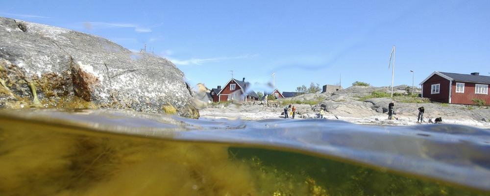 Kust både ovan och under ytan. 