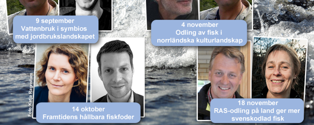 Forskare och vattenbrukare som föreläser om hållbart vattenbruk.