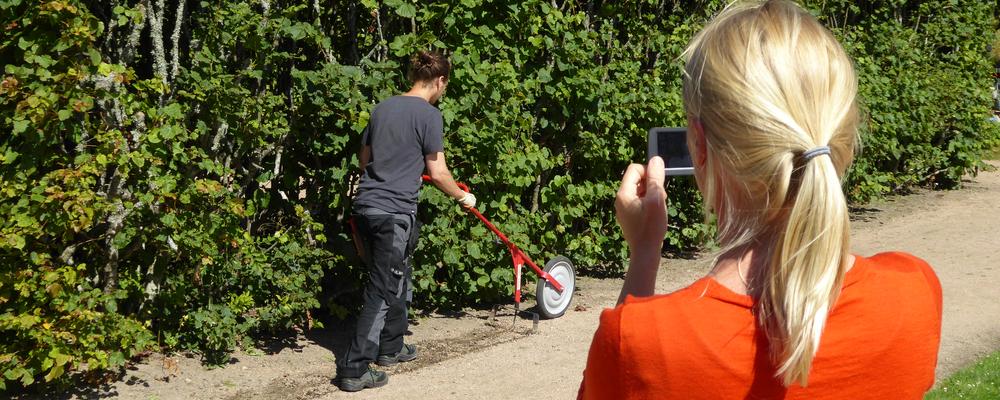 Bilden visar dokumentation av häckskötsel