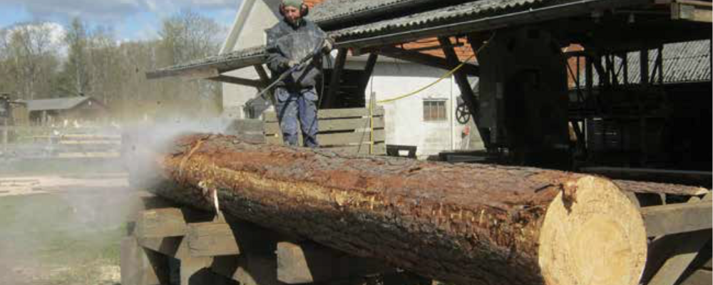 Bilden visar en person som spolar av en stock inför sågning i ett mindre sågverk.