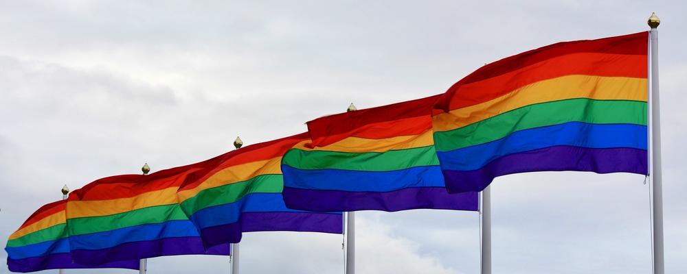 Rainbow flags.