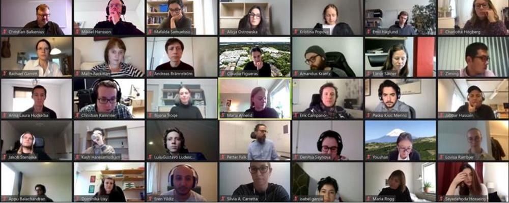 participants in zoom meeting