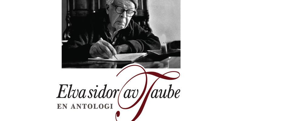Bokomslag Elva sidor av Taube