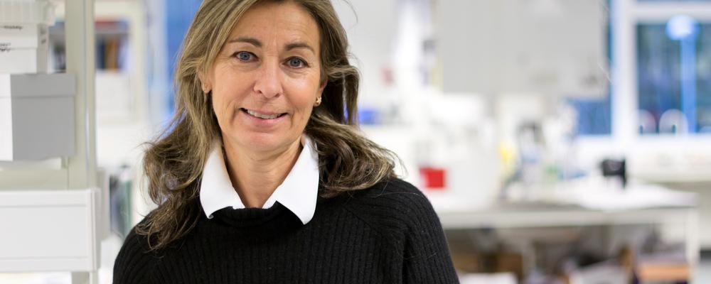 Foto av Ann Hellström