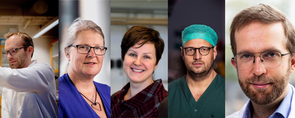 Portraits of five researchers