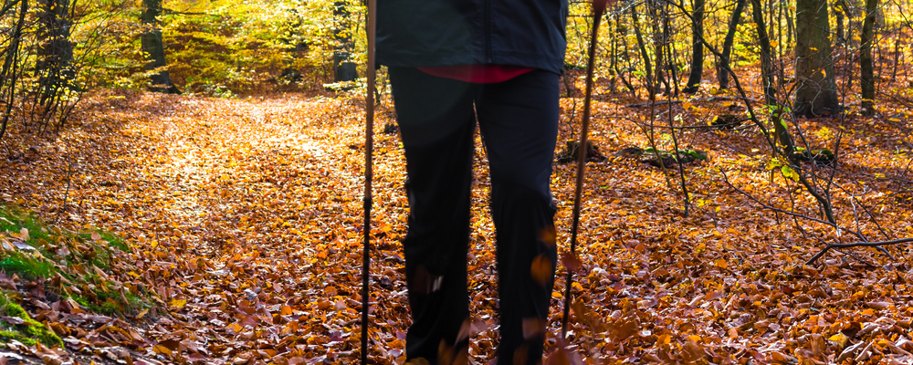 Foto på person som går med stavar i skogen