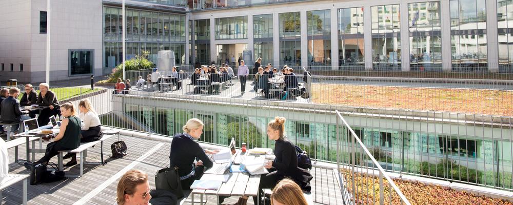 picture from the institution