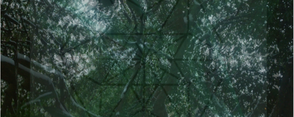 Ett geometriskt mönster dubbelexponerat på en bild av trädtoppar
