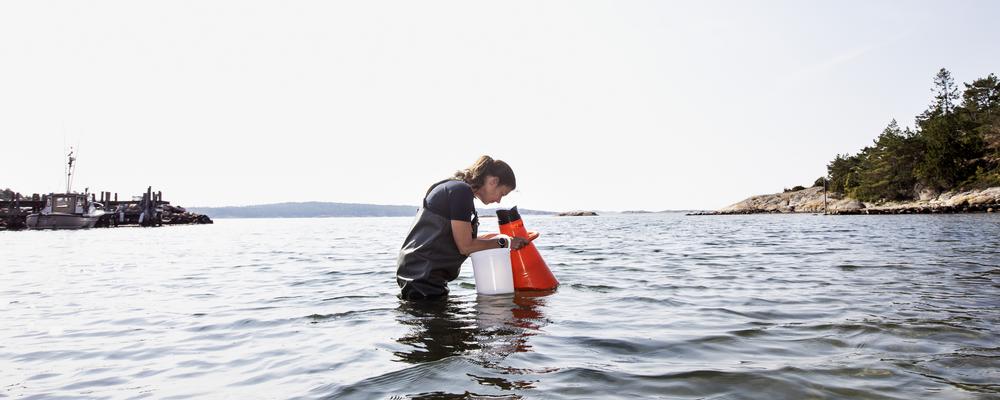 Forskare står med vattenkikare och tittar ner i havet. 