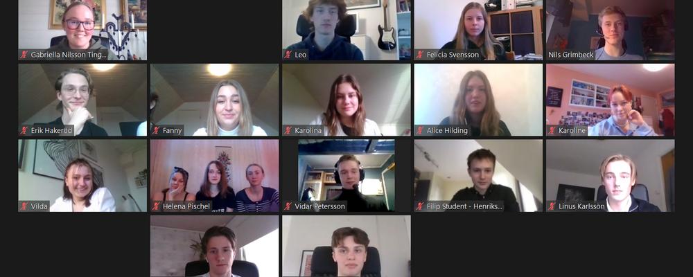 bild från digitalt möte, personer i zoom