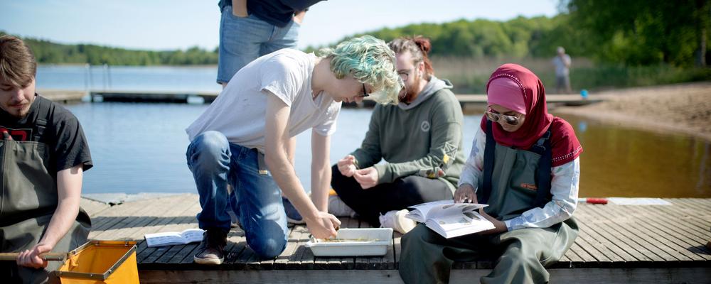 Biologystudents on a jetty 
