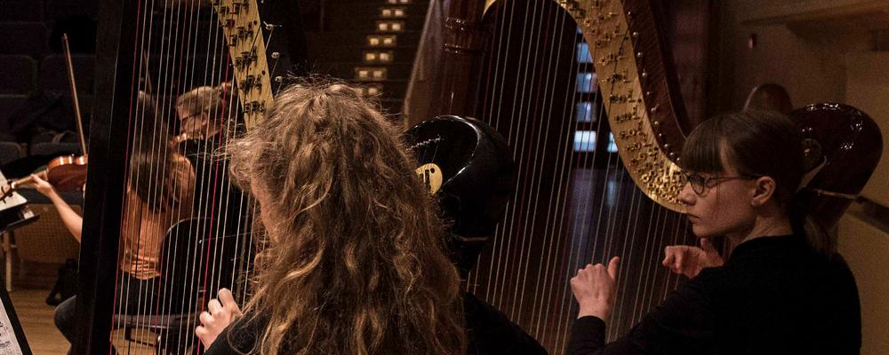 Two students in classical music, orchestra performance, play harps