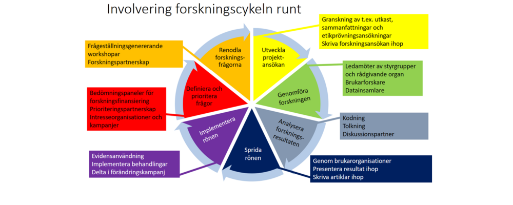 Hur patienter och allmänhetens kan involveras i forskningscykeln