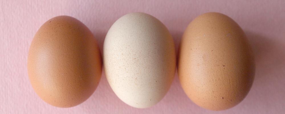 Three eggs on a pink surface