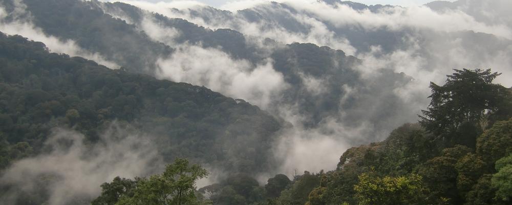 Clouds in the valleys of Rwanda