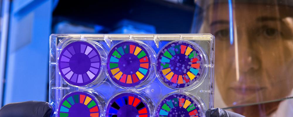 Genre image for research