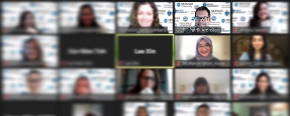 bild från zoommötet