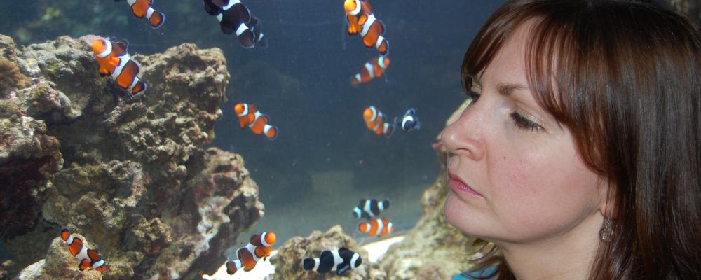 Lynne Sneddon at a fish tank.