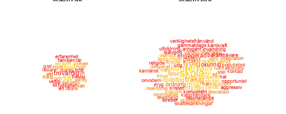 Ordmoln från studien om partiledare och partival