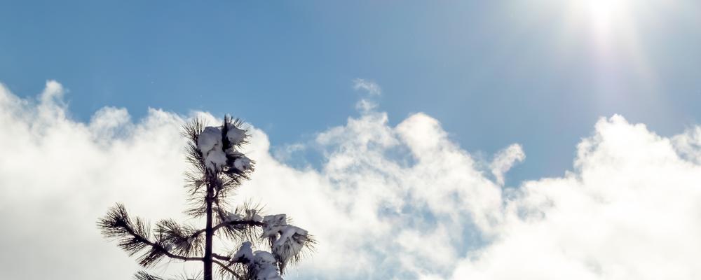 Bild av moln, träd och snö
