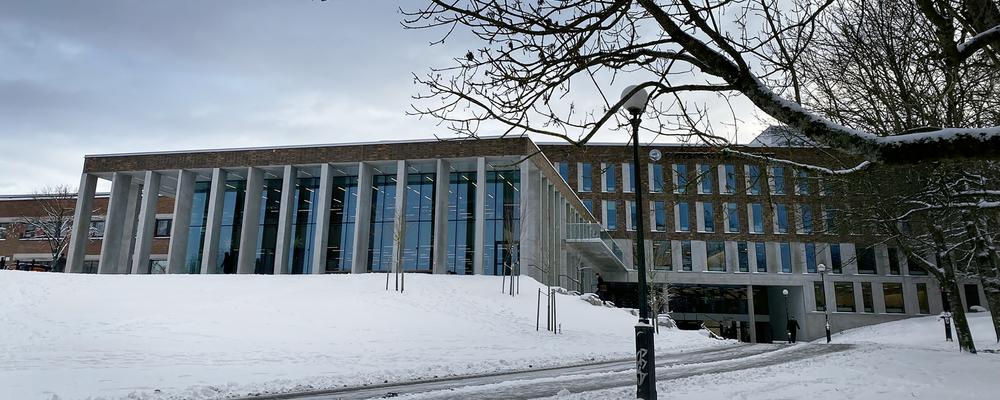 Image of the building at Näckrosparken