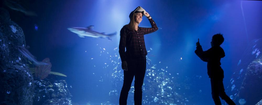 Géraldine Fauville står framför ett akvarium på Universeum med VR-glasögon.