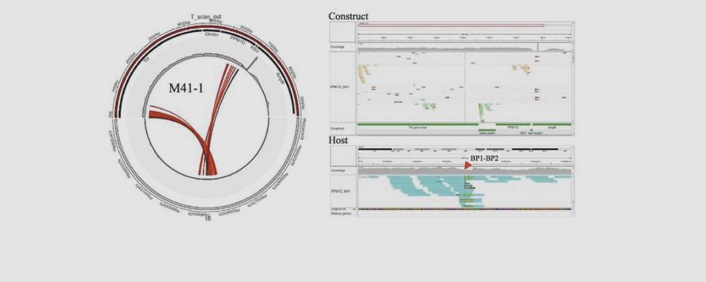 Example of a graph created by TC-Hunter