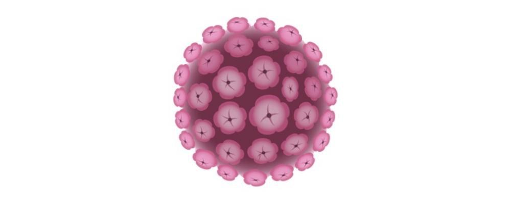 Illustration av ett HPV-virus