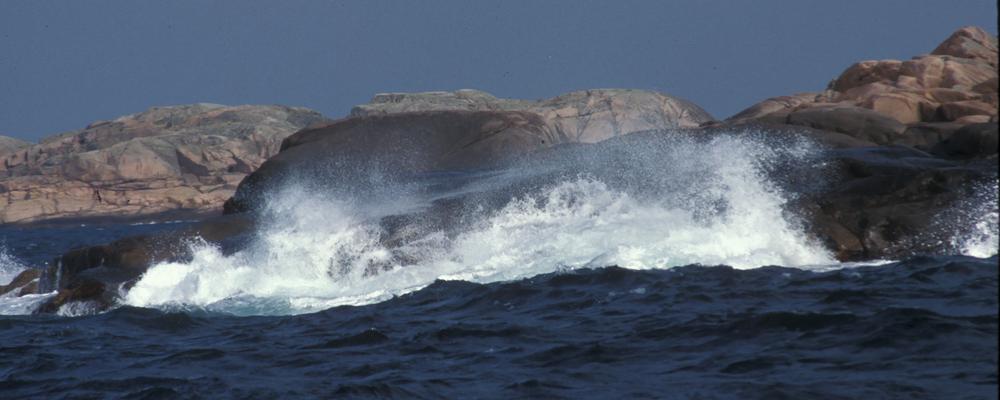 Bild på vågor som slår mot klippor